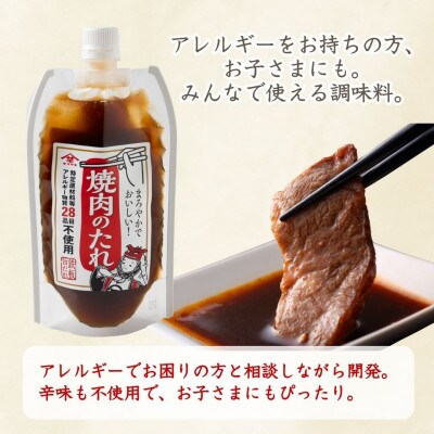山崎醸造 28品目不使用 焼肉のたれ 250g×6個  調味料 新潟県 小千谷市