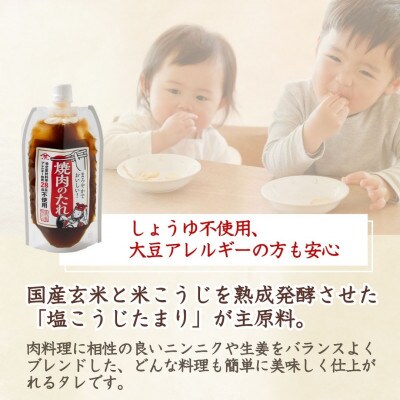 山崎醸造 28品目不使用 焼肉のたれ 250g×6個  調味料 新潟県 小千谷市