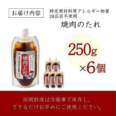 山崎醸造 28品目不使用 焼肉のたれ 250g×6個  調味料 新潟県 小千谷市