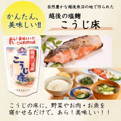 山崎醸造 越後の塩麹 こうじ床 200g×12個  塩こうじ 調味料  新潟県 小千谷市