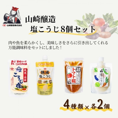 山崎醸造 塩こうじ8個セット (人気の4種類×各2個) 塩麹 万能調味料 新潟県 小千谷市