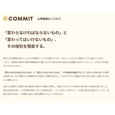 山崎醸造 塩こうじセット(熟成塩こうじ・トマト糀・野菜がおいしくなる塩こうじ) 新潟県 小千谷市