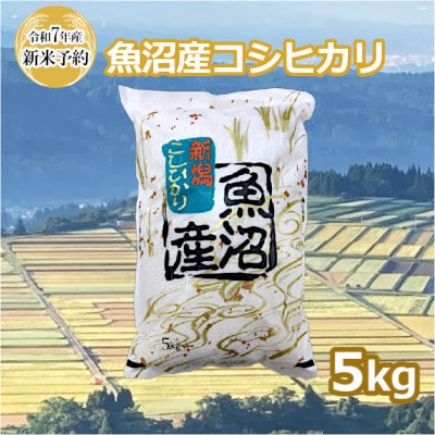 【令和7年産新米先行予約】 魚沼産コシヒカリ 精米 5kg 共栄農工社 (10月上旬頃より順次発送)
