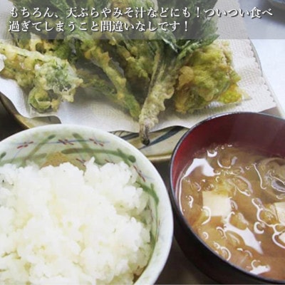 【令和7年産新米先行予約】 魚沼産コシヒカリ 精米 5kg 共栄農工社 (10月上旬頃より順次発送)