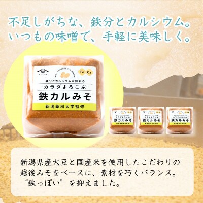 山崎醸造 みそ カラダよろこぶ鉄カルみそ 700g×4個 越後みそ 新潟県 小千谷市