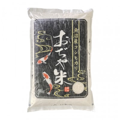 【令和7年産新米先行予約】魚沼産コシヒカリ 精米 5kg JA魚沼(2025年10月より順次発送)