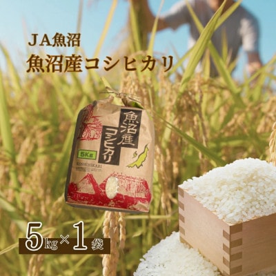 【令和7年産米先行予約】魚沼産コシヒカリ精米5kg クラフト袋 JA魚沼 2025年10月～順次発送