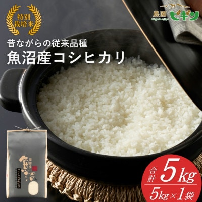 【令和7年産米先行予約】 魚沼産コシヒカリ 精米5kg 従来品種 農園ビギン2025年11月から発送