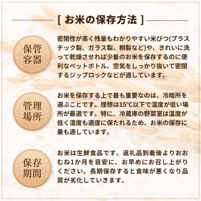 【令和7年産米先行予約】 魚沼産コシヒカリ 精米5kg 従来品種 農園ビギン2025年11月から発送