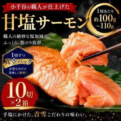 鮭づくし(甘塩サーモン10切れ)×2箱セット