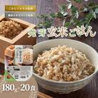 発芽玄米ごはんパック180g×20個