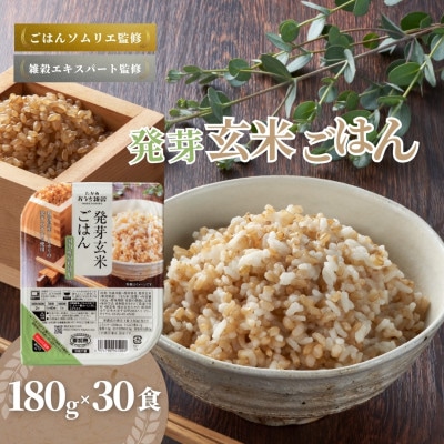 発芽玄米ごはんパック180g×30個