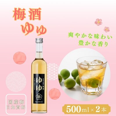 梅酒ゆゆ 500ml×2本 国産梅 白加賀梅使用 新潟銘醸