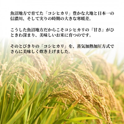 ふっくら美味しい魚沼産こしひかり パックご飯 180g×12個(3パック×4個) たかの