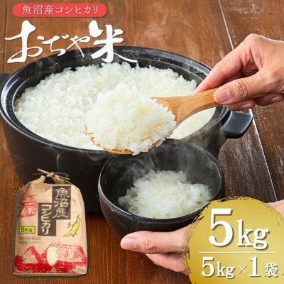 【令和7年産米先行予約】魚沼産コシヒカリ 精米5kg クラフト袋 JA魚沼(10月中旬頃より発送)
