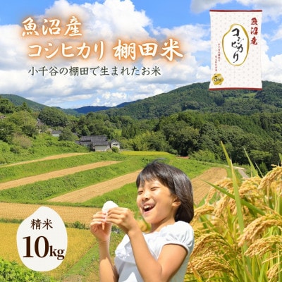 令和7年産 魚沼産コシヒカリ 棚田米 精米10kg(5kg×2袋)