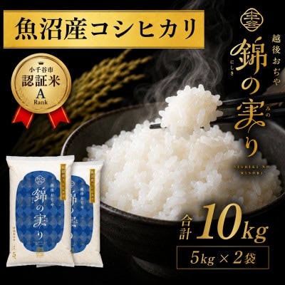令和7年産 魚沼産コシヒカリ 小千谷市ブランド認証米「錦の実り」A 精米10kg