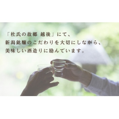 梅酒ゆゆ 500ml×1本 国産梅 白加賀梅使用 新潟銘醸