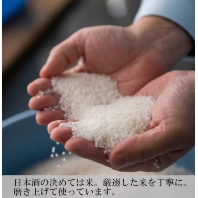 美禄(ビロク)長者盛 大吟醸 720ml  新潟銘醸 日本酒 新潟清酒