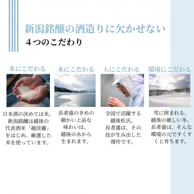 日本酒 純米吟醸 越の寒中梅 一閃辛口 720ml×1本 日本酒度+10