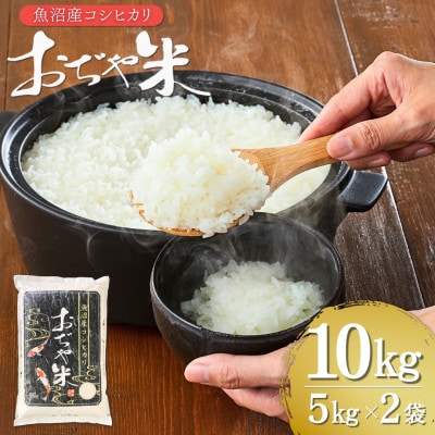 令和7年産 新潟県 魚沼産 コシヒカリ 精米10kg お申込み後に精米 おぢや米