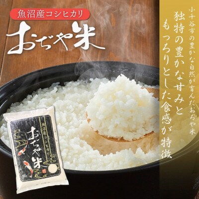 令和7年産 魚沼産コシヒカリ ブランド認証米「錦の実り」特Aランクとおぢや米 食べ比べ10kg 精米