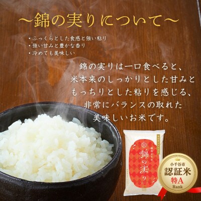 令和7年産 魚沼産コシヒカリ ブランド認証米「錦の実り」特Aランクとおぢや米 食べ比べ10kg 精米