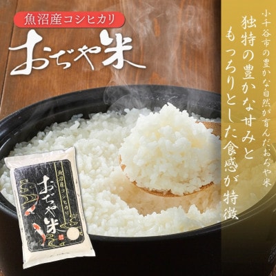 令和7年産 魚沼産コシヒカリ ブランド認証米「錦の実り」Aランクとおぢや米 食べ比べ10kg 精米
