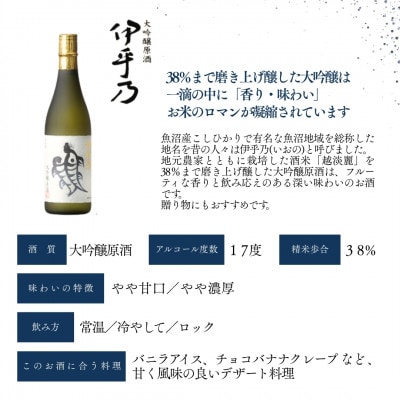 高の井酒造 伊乎乃 大吟醸原酒 1800ml×1本 山田錦精米歩合38% 新潟県小千谷市