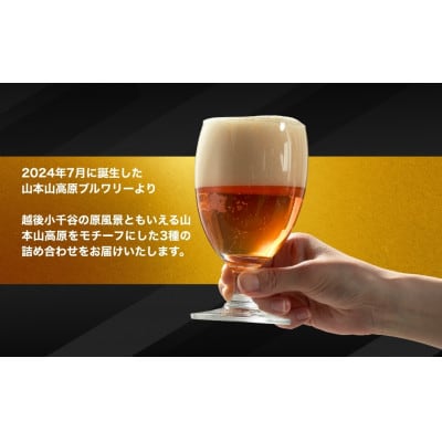クラフトビール 3種飲み比べ 計3本(330ml×各1本) 山本山高原ブルワリー ご当地ビール