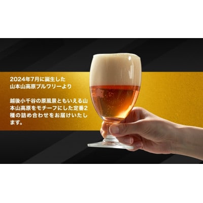 クラフトビール 定番2種飲み比べ 計6本(330ml×各3本) 雲海WHITE&草原GREEN