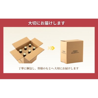 クラフトビール 定番2種飲み比べ 計6本(330ml×各3本) 雲海WHITE&草原GREEN