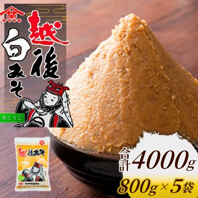 山崎醸造 越後みそ白 800g×5個 白味噌 調味料 発酵食品 新潟県 小千谷市