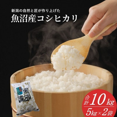 令和7年産 魚沼産 コシヒカリ 精米 10kg　共栄農工社のおいしいお米 新潟県 小千谷市