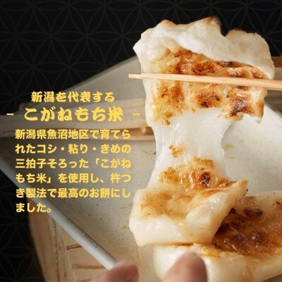 たかの 魚沼産こがね餅「切餅」650g×5個 こがねもち100% 新潟