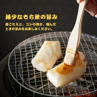 たかの 魚沼産こがね餅「切餅」650g×5個 こがねもち100% 新潟