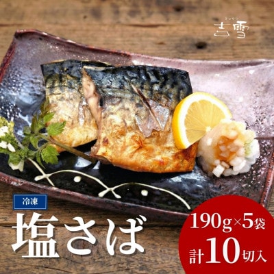 塩さば 合計10切 合計950g (1袋約190g 2切×5袋) 個包装・真空パック