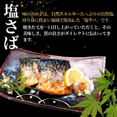 塩さば 合計10切 合計950g (1袋約190g 2切×5袋) 個包装・真空パック