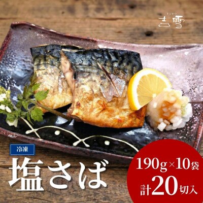 塩さば 合計20切 合計1900g (1袋約190g 2切×10袋) 個包装・真空パック