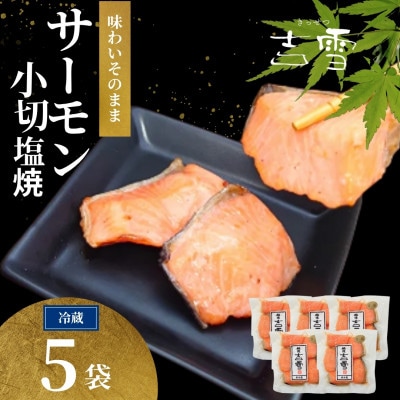 サーモン小切塩焼 合計350g (70g×5袋) 個包装・真空パック