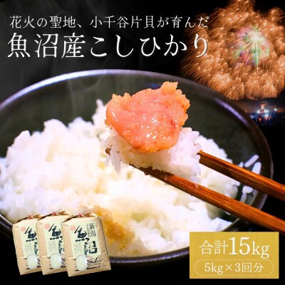 令和7年産 魚沼産コシヒカリ15kg 四尺玉花火の町 新潟県小千谷市片貝町 米萬商店