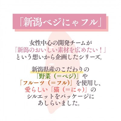 新潟ベジにゃフル いもジェンヌカレー 30袋セット 阿部幸製菓