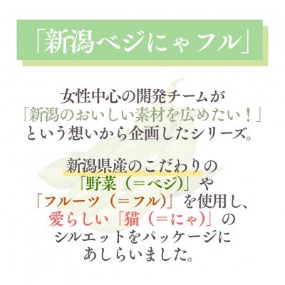新潟ベジにゃフル くろさき茶豆ポタージュ 30袋セット 阿部幸製菓