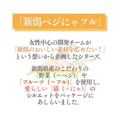 新潟ベジにゃフル 雪下にんじんスープ 30袋セット 阿部幸製菓
