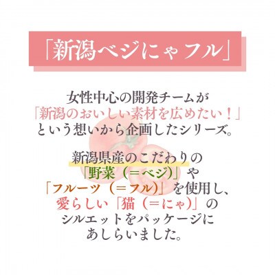 新潟ベジにゃフル にいがたトマトキーマカレー 30袋セット　阿部幸製菓