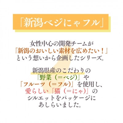 新潟ベジにゃフル ばなな南瓜ポタージュ 30袋セット 阿部幸製菓