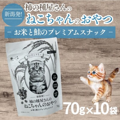 柿の種屋さんのねこちゃんのおやつ　お米と鮭のプレミアムスナック10個セット 阿部幸製菓