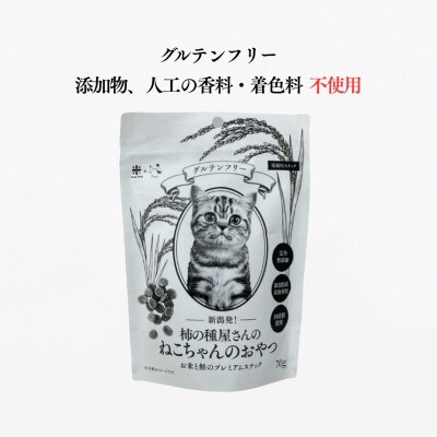 柿の種屋さんのねこちゃんのおやつ　お米と鮭のプレミアムスナック10個セット 阿部幸製菓