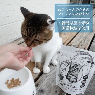 柿の種屋さんのねこちゃんのおやつ　お米と鮭のプレミアムスナック10個セット 阿部幸製菓