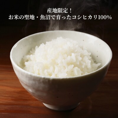 ふっくら美味しい魚沼産こしひかり パックご飯 180g×30個 たかの